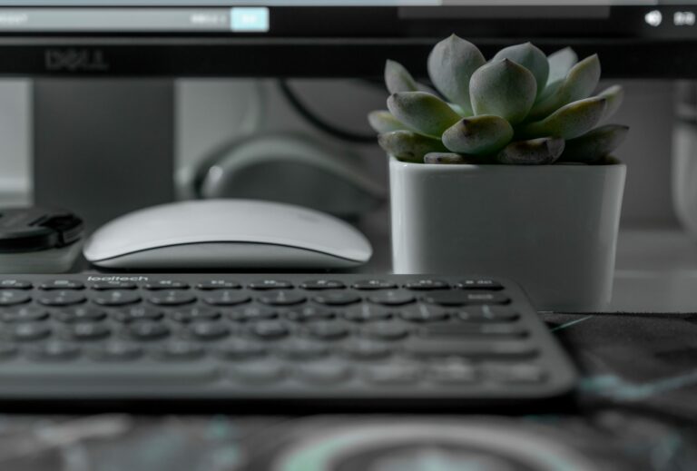 succulent next to keyboard